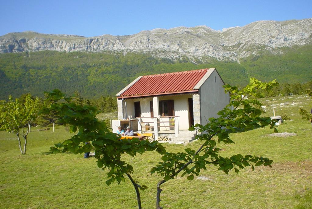 Apartments Europa Starigrad Paklenica Eksteriør bilde
